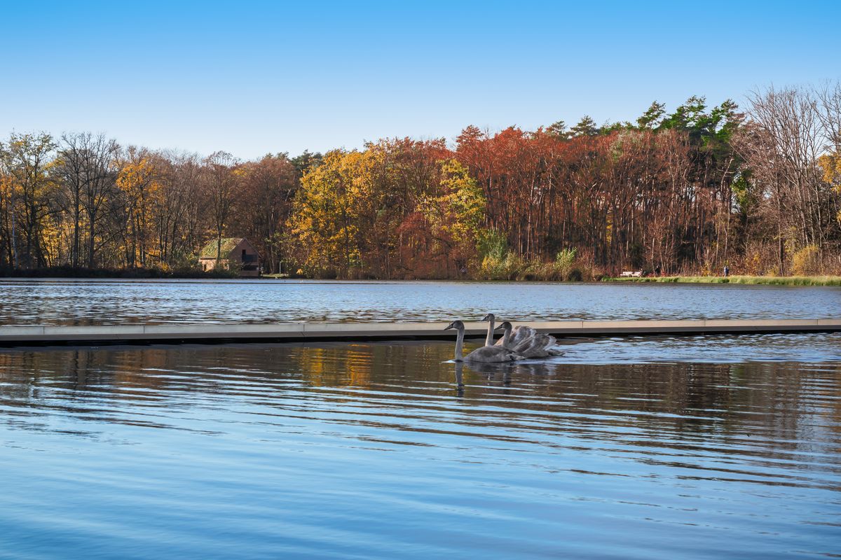 Landschap bij Genk